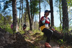 BIB: 
                            <button type="button" onclick="openModal(18916203)" class="btn btn-primary btn-sm float-right btn-popup" data-toggle="modal" data-target=".modal-high-quality">
                        <i class="fas fa-shopping-cart"></i> Add to Cart
                    </button>
                                            <button type="button" onclick="isThisMe(18916203, true)" class="btn btn-success btn-sm float-right btn-popup btn-isme hidden" data-toggle="tooltip" data-placement="bottom" title="นี่คือรูปของคุณใช่ไหม คลิกที่นี่เพื่อเอาเข้าอัลบั้ม">
                        <i class="fas fa-plus"></i> Add to album
                    </button>
                    <button type="button" onclick="isThisMe(18916203, false)" class="btn btn-warning btn-sm float-right btn-popup btn-isnotme hidden">
                        <i class="fas fa-ban"></i> Remove from album
                    </button>